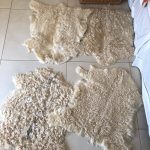 Alfombra