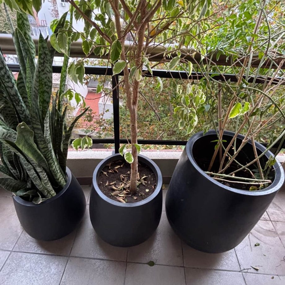 Macetas con plantas
