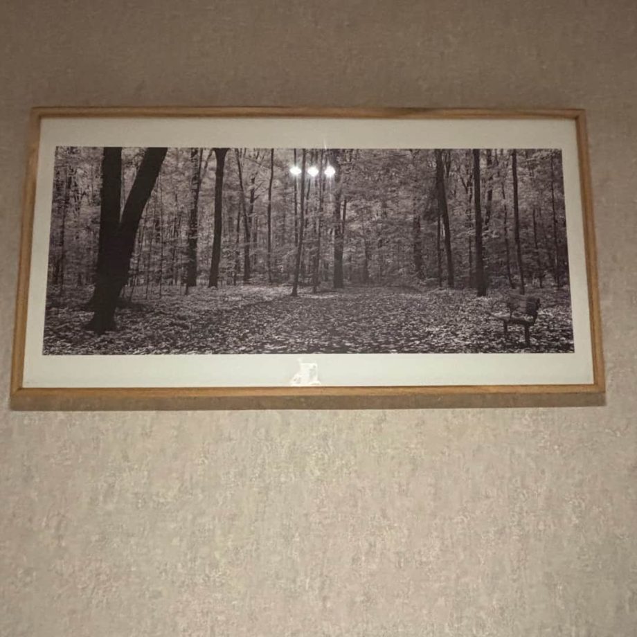 Cuadro decorativo "Bosque"