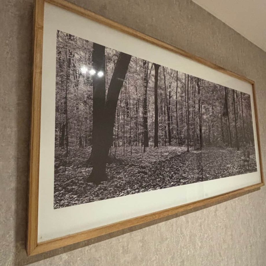 Cuadro decorativo "Bosque"
