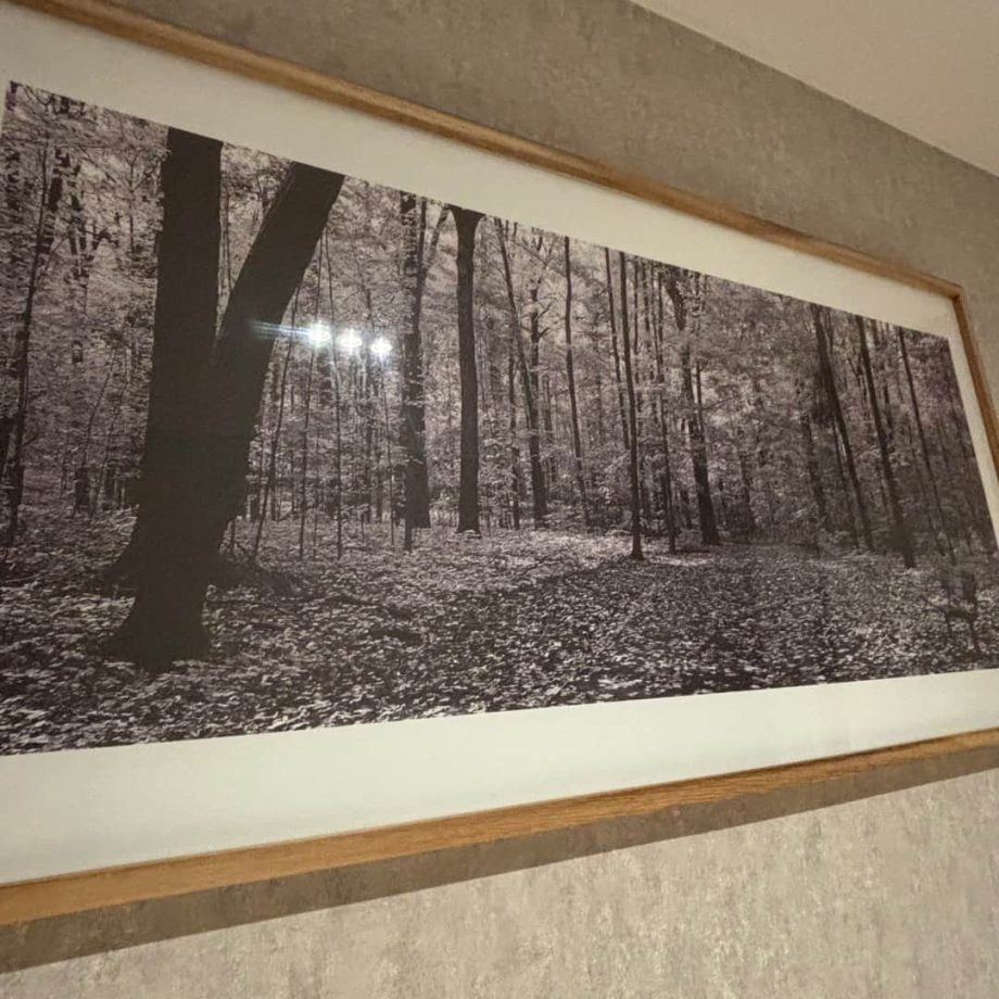 Cuadro decorativo "Bosque"