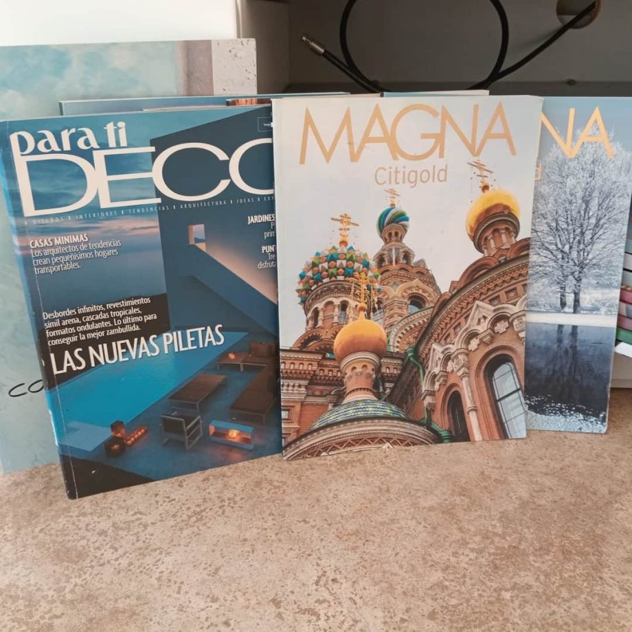 Lote escritorio, adornos y revistas