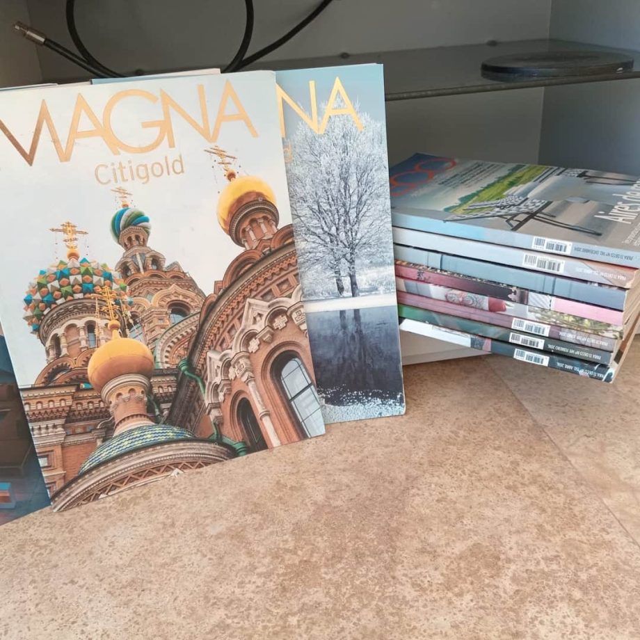 Lote escritorio, adornos y revistas