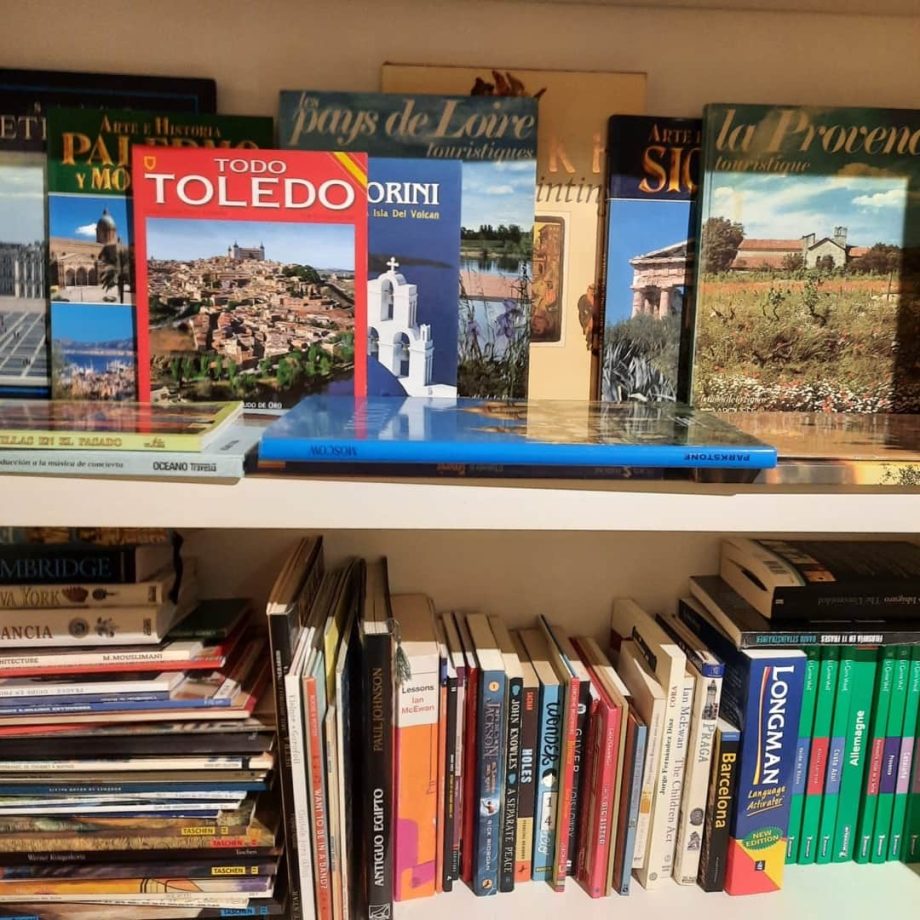 Lote de libros