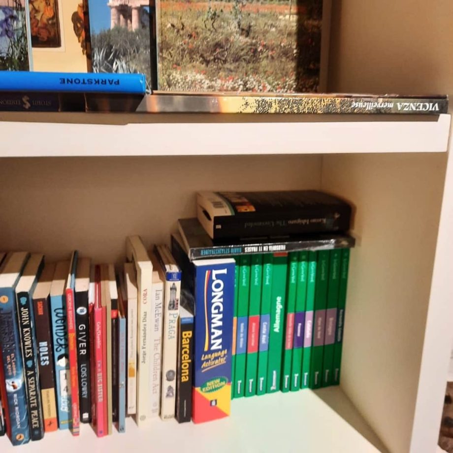 Lote de libros
