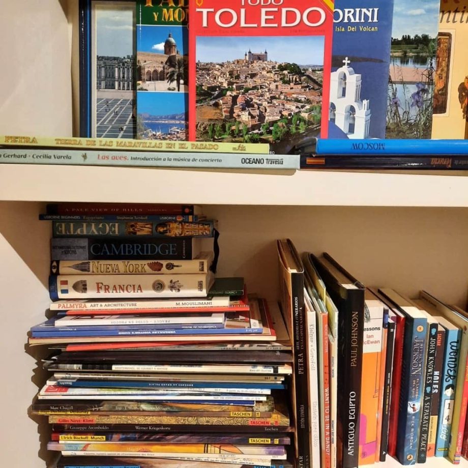 Lote de libros