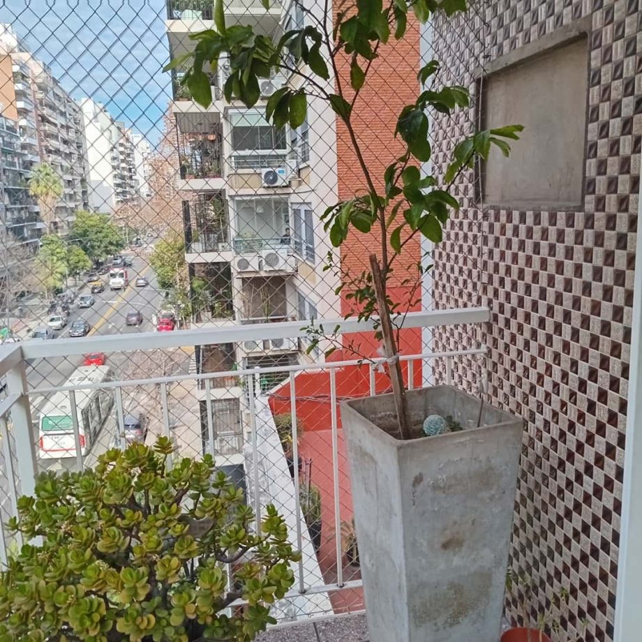 Plantas