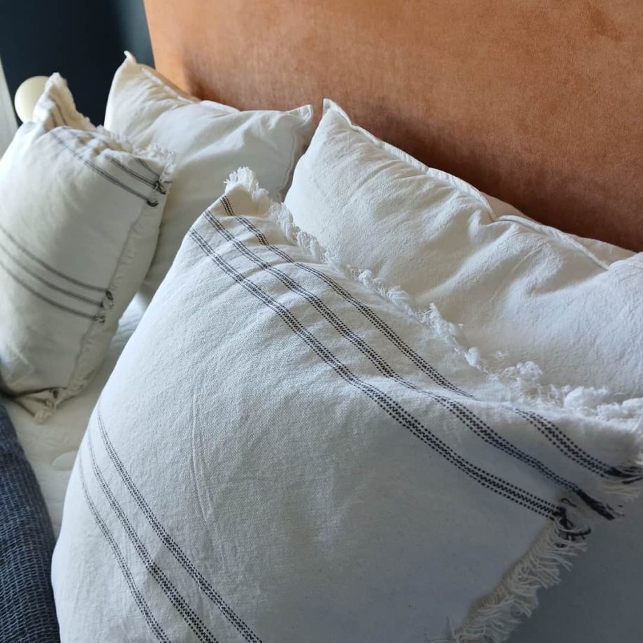 Almohadones + manta