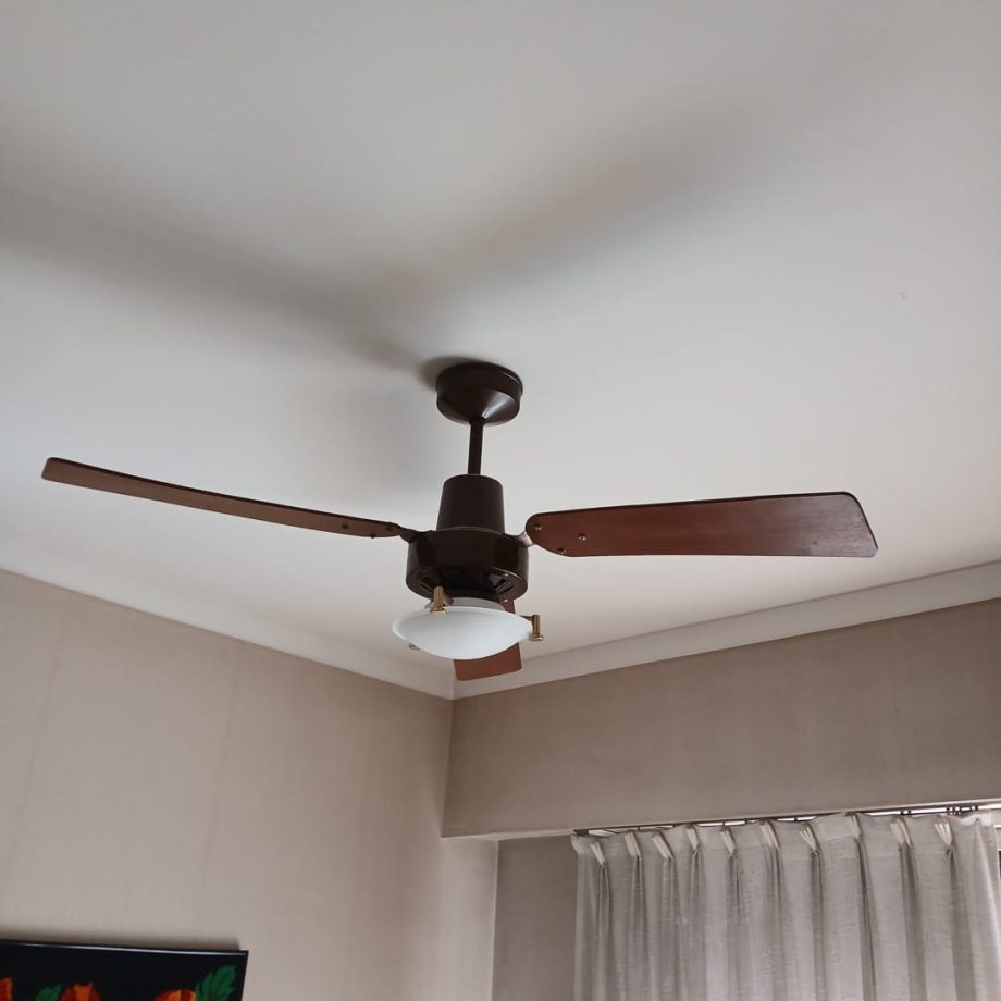 Ventilador de techo