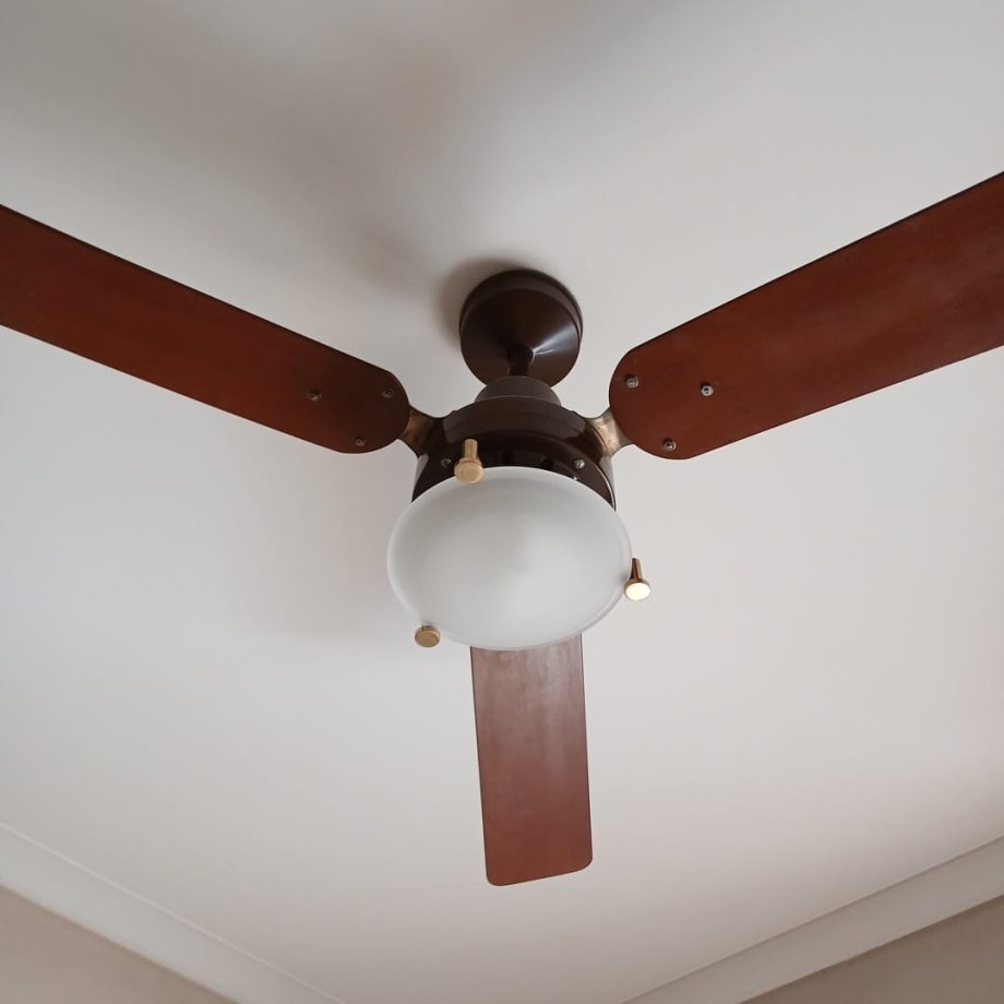 Ventilador de techo