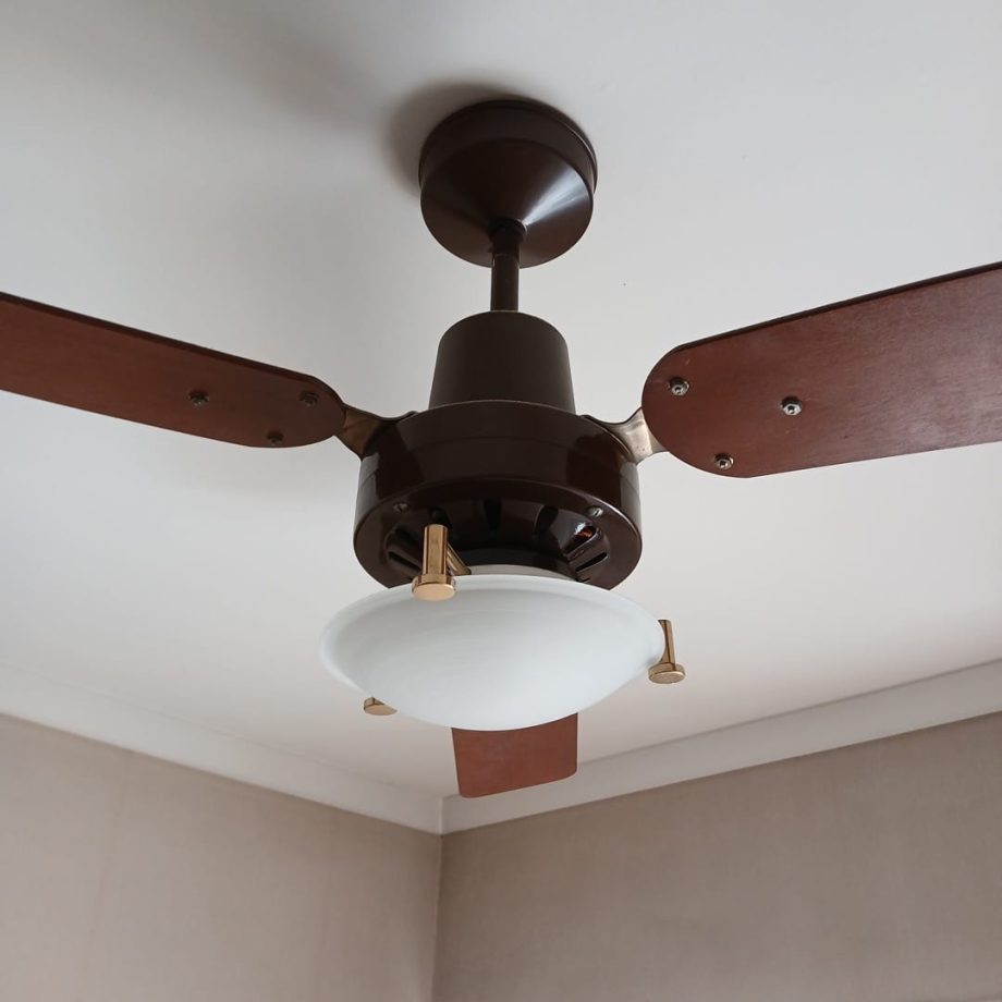 Ventilador de techo