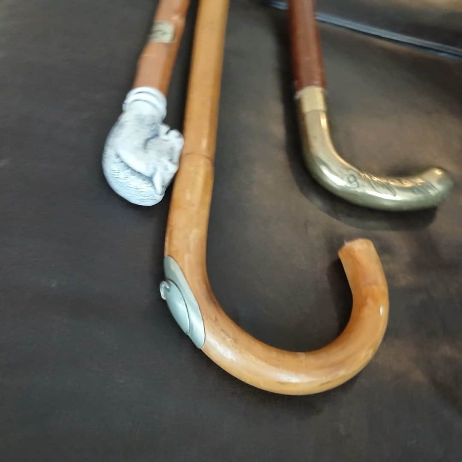 Lote de bastones