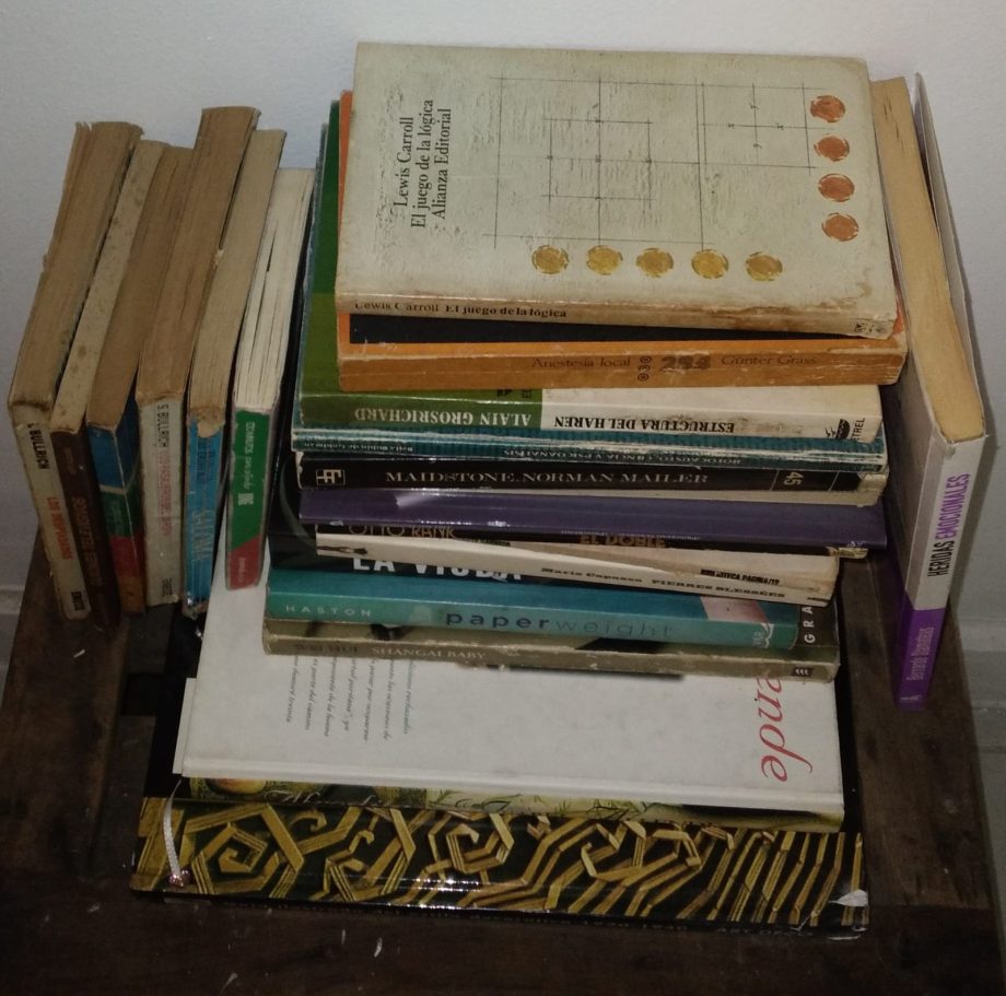 Lote de libros