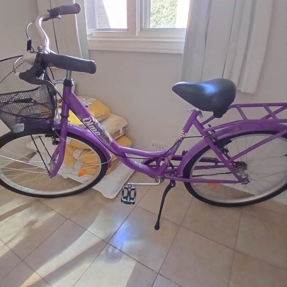Bicicleta Olmos
