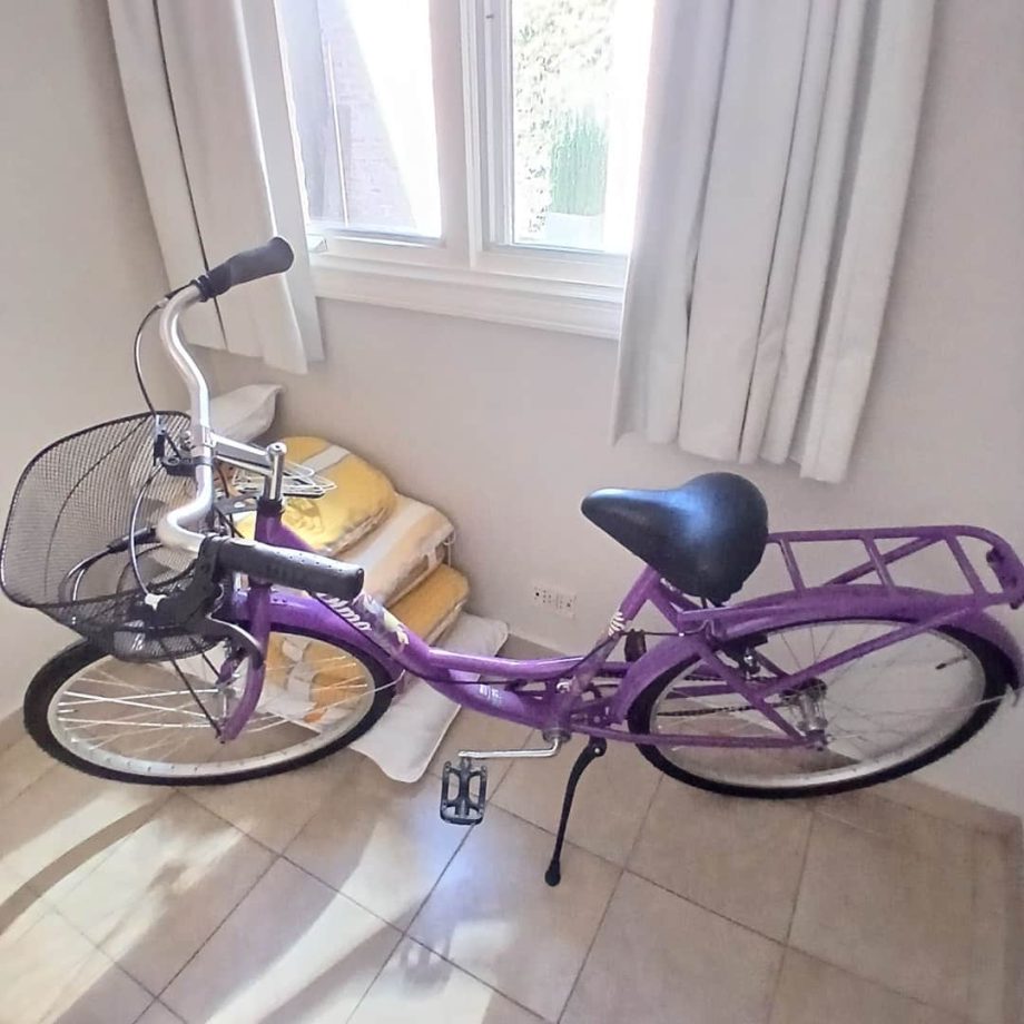Bicicleta Olmos
