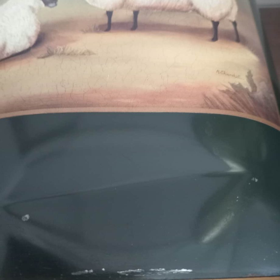 Paraguero y papelero