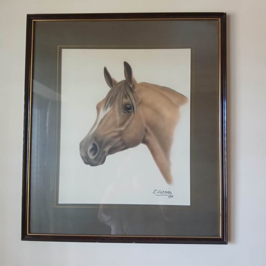 Lámina "Caballo"