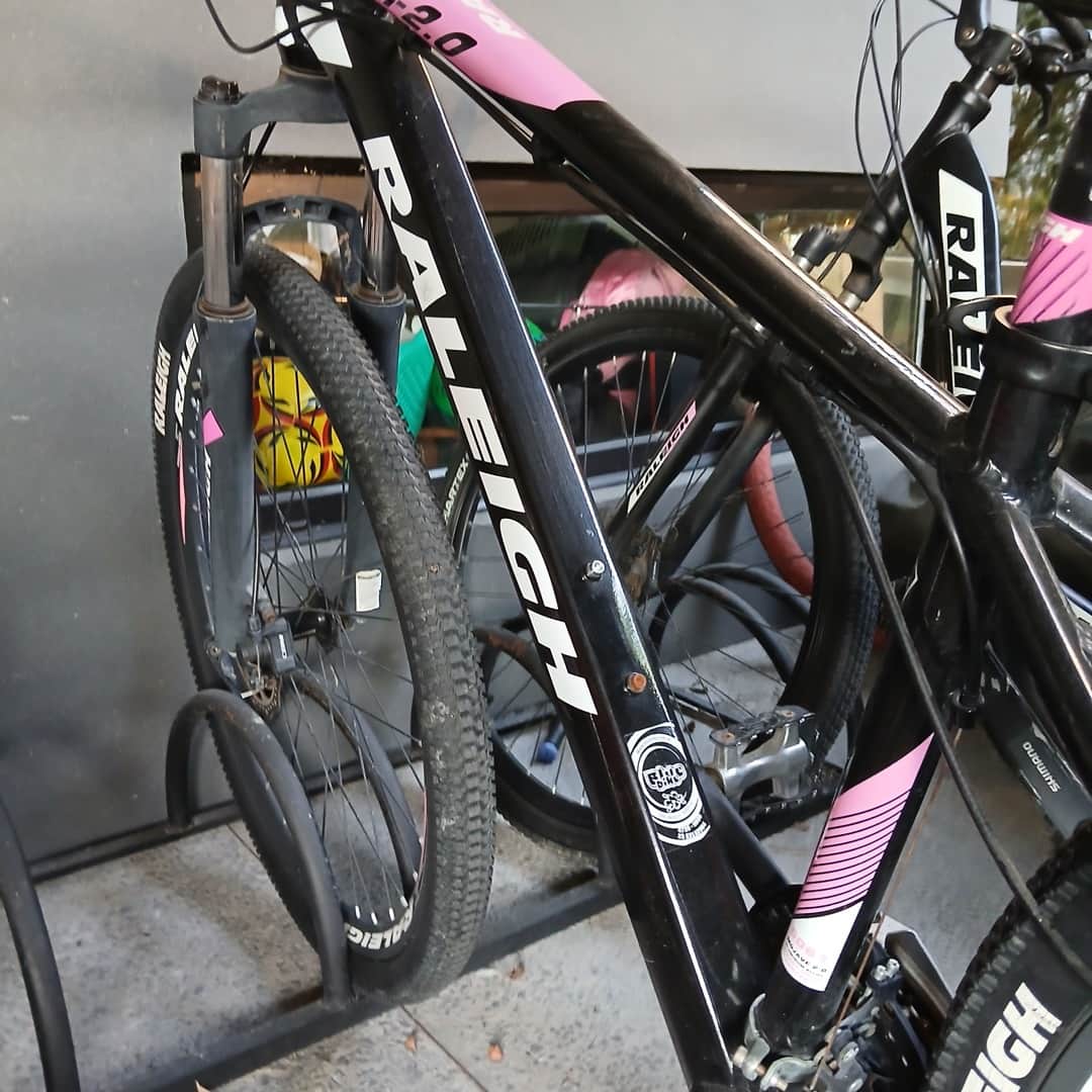 Bicicleta Raleigh mujer