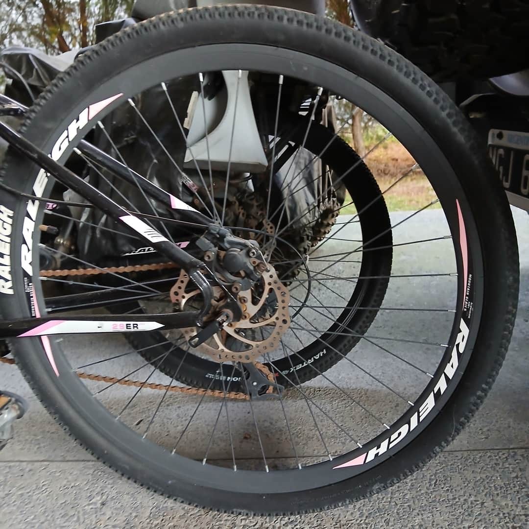 Bicicleta Raleigh mujer