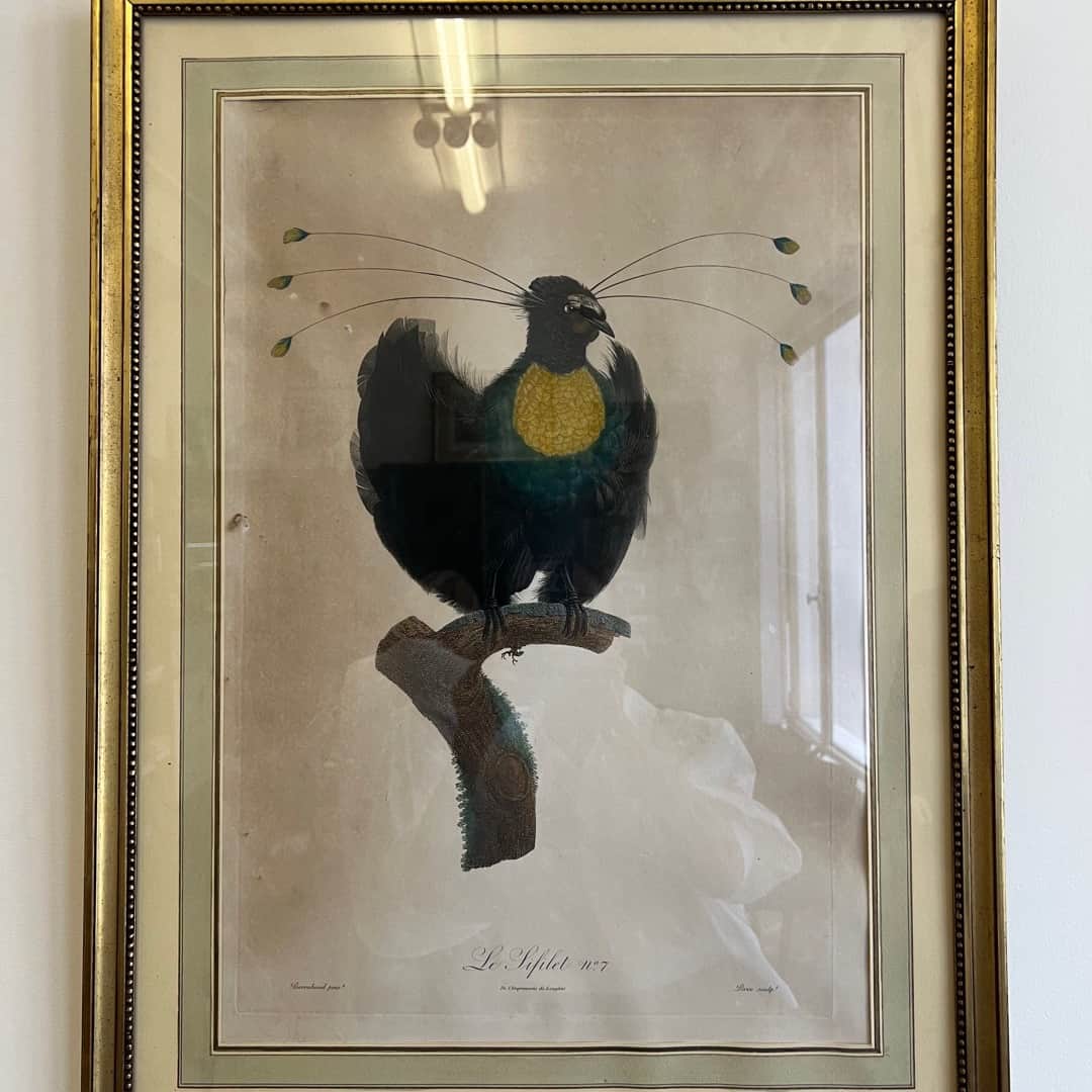 Dibujos originales Tito Saubidet