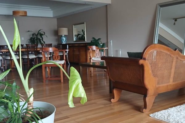 Chaise longue esterillado; sofá 2 cuerpos tapiado en color ladrillo; par sillones esquineros estilo Inglés; sillón relax; mesas auxiliares: estructura en hierro patinado y vítrea, estilo Inglés tapa redonda, de guardado 2 puertas y 2 cajones; comedor Casa Maple: mesa doble pedestal, 6 sillas y par silloncitos; vajillero Casa Maple; mueble auxiliar para TV, alzada, estantes...