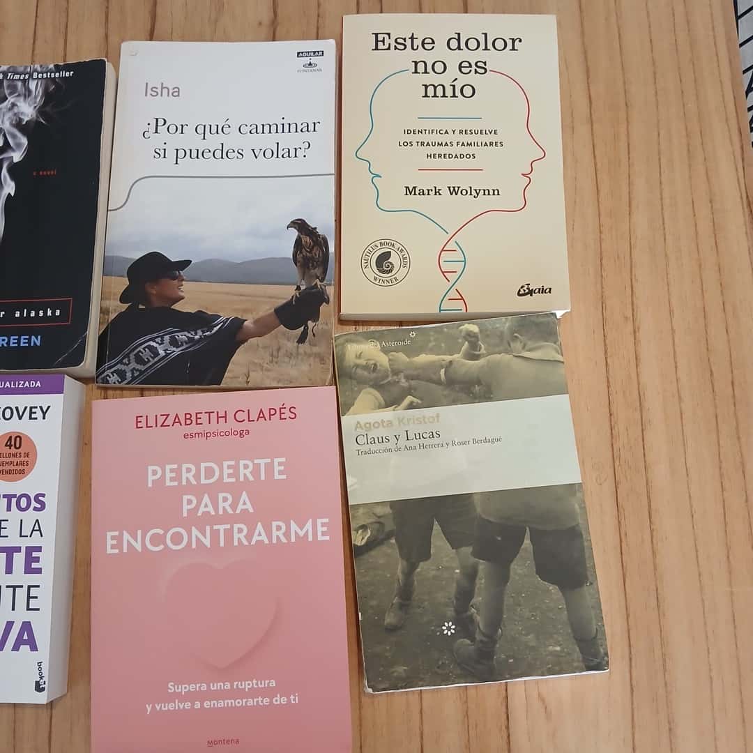 Lote de libros
