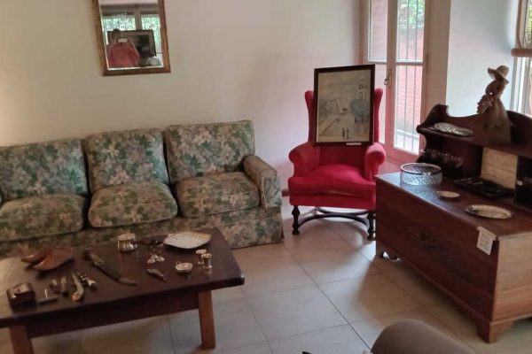 Sofá 3 cuerpos y otro; sillón 2 cuerpos madera; mecedora Thonet; 4 sillas plegables; mesas auxiliares: tipo riñón, en madera rústica tapa irregular, con revistero, carro 3, 2 planos, octogonal con alargue, otras; gabinete boulle; consola madera; alzada vitrina; secretaire estilo Provenzal; vitrina bronce de Horizon; alzada colgante; cómoda 4 cajones; muebles auxiliares de guardado; escritorio...