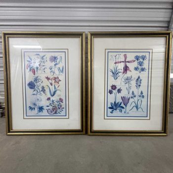 Par de cuadros "Flores"