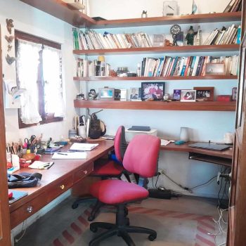 Estantes en madera + escritorio.