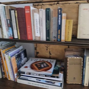Lote de libros
