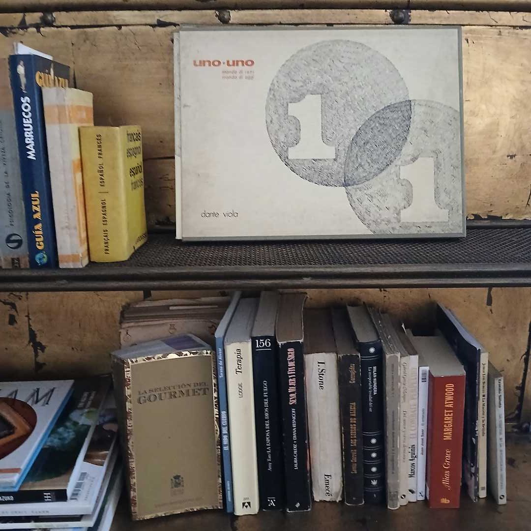 Lote de libros