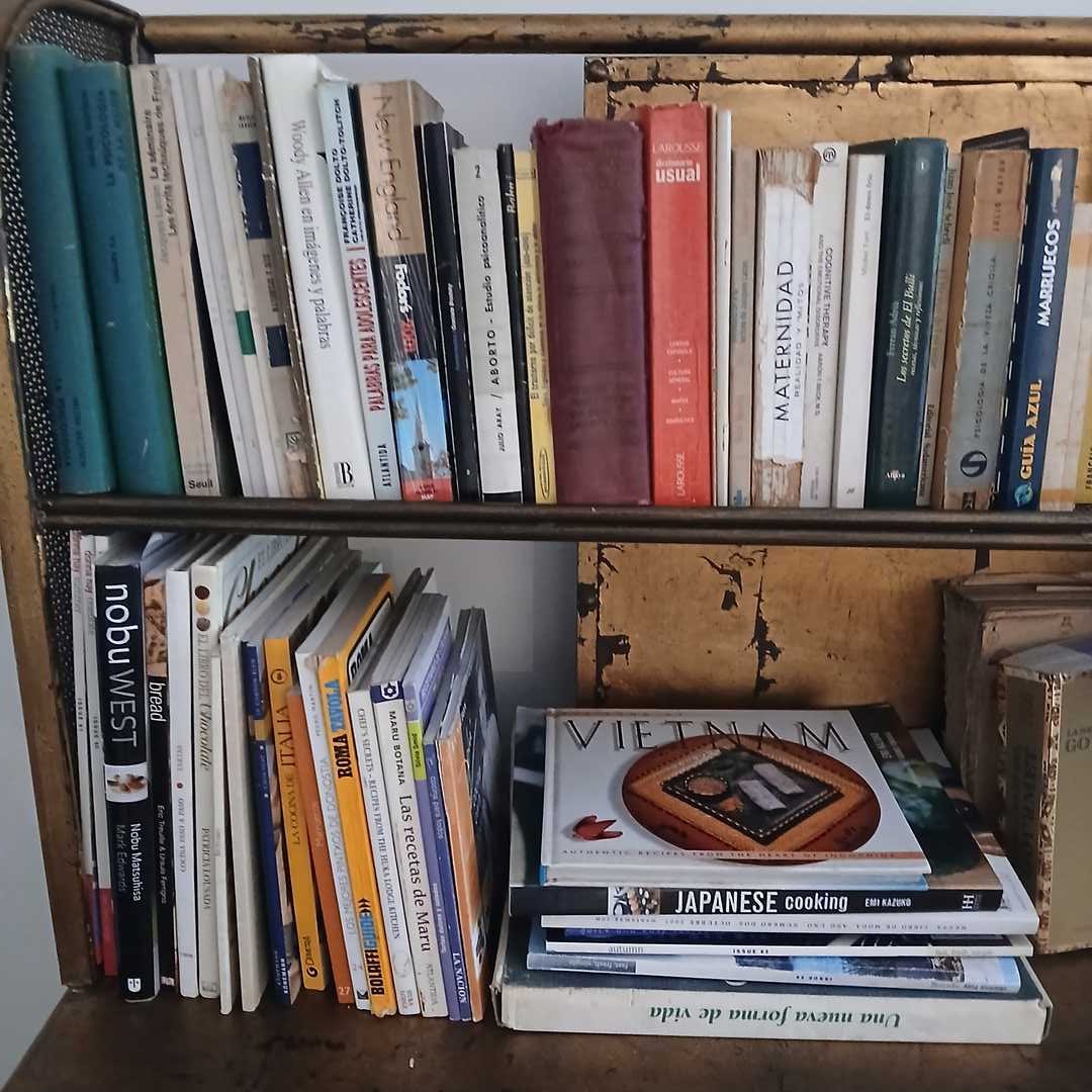 Lote de libros