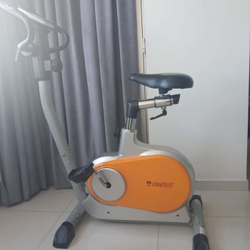 Bicicleta fija Randers
