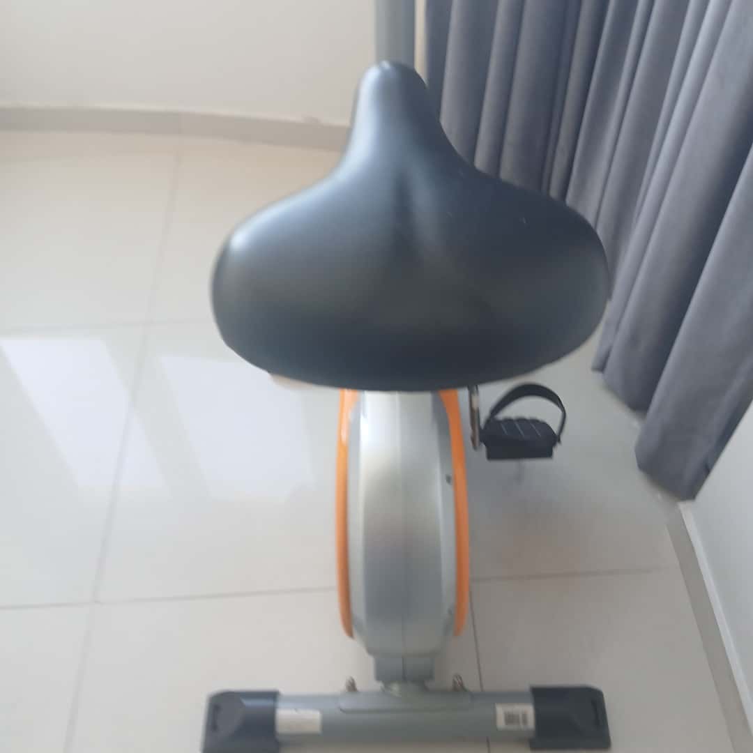 Bicicleta fija Randers