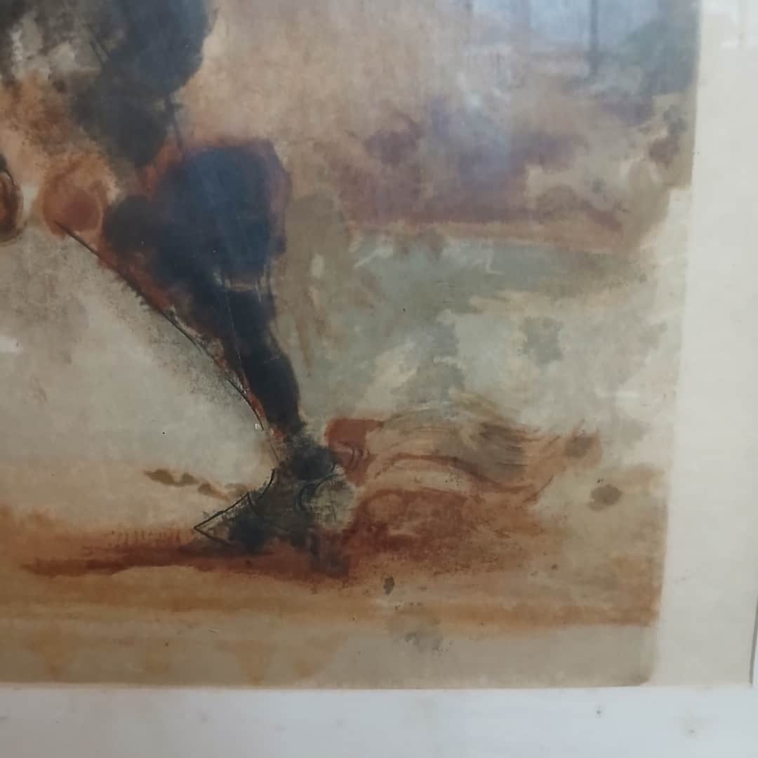 Técnica mixta "Toro"