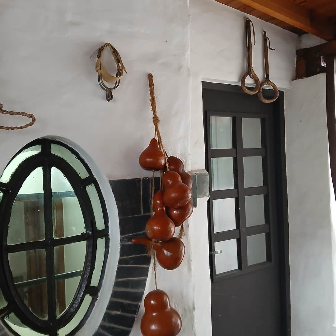 Artículos de campo