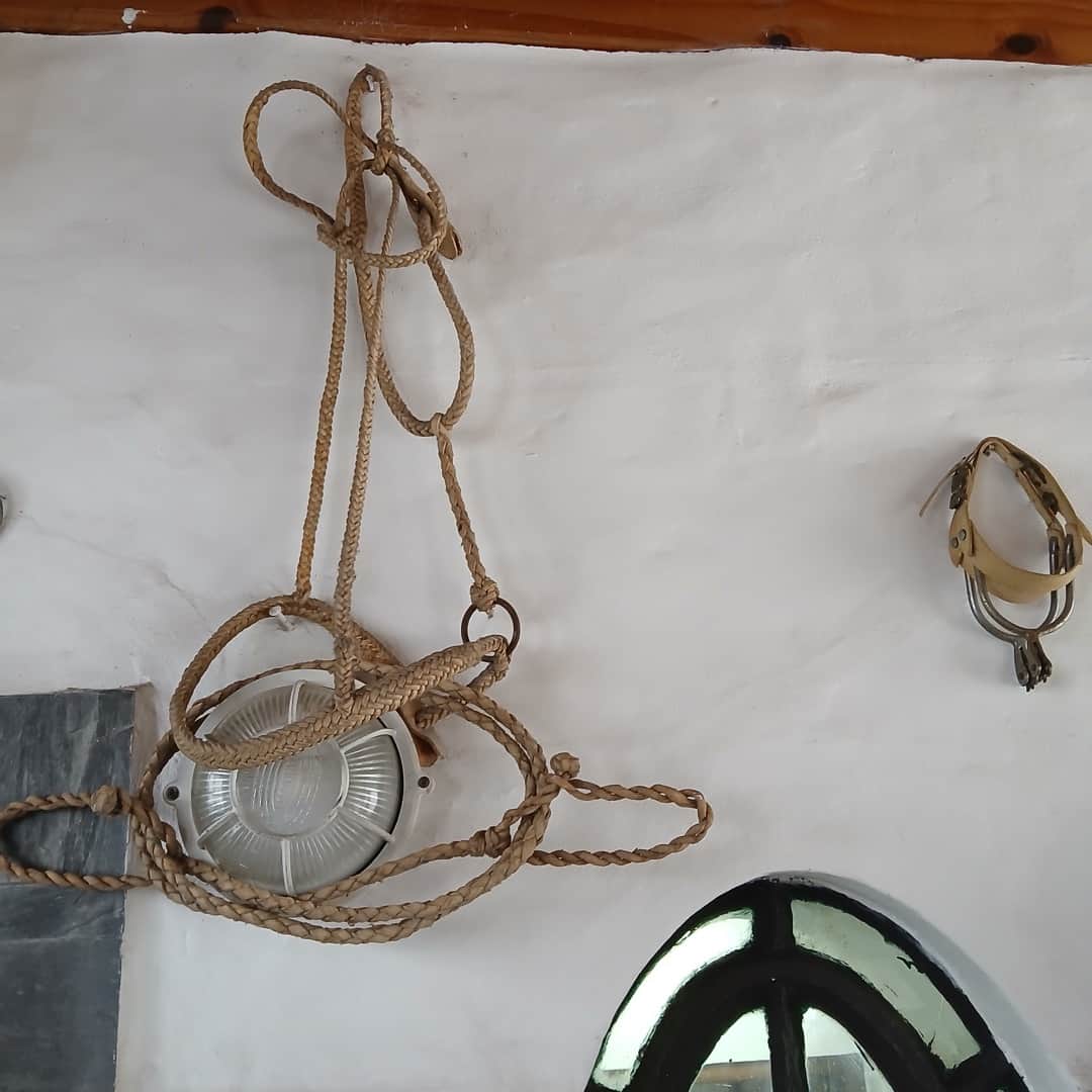 Artículos de campo