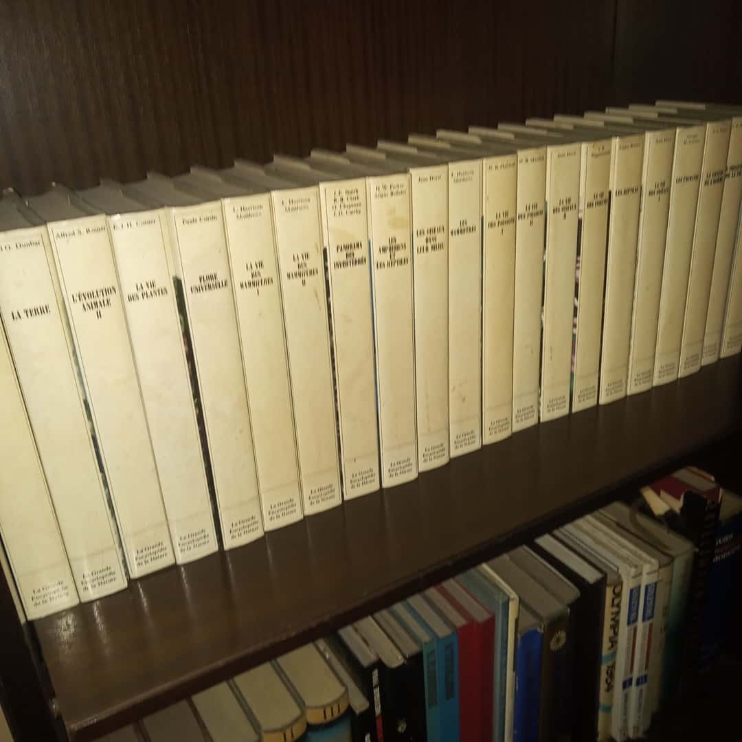 Libros
