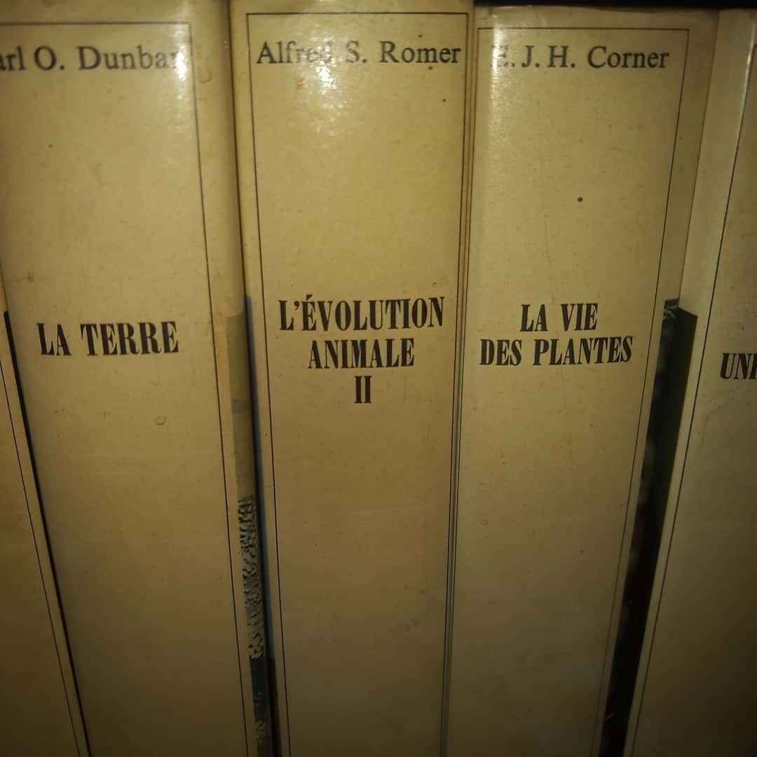 Libros