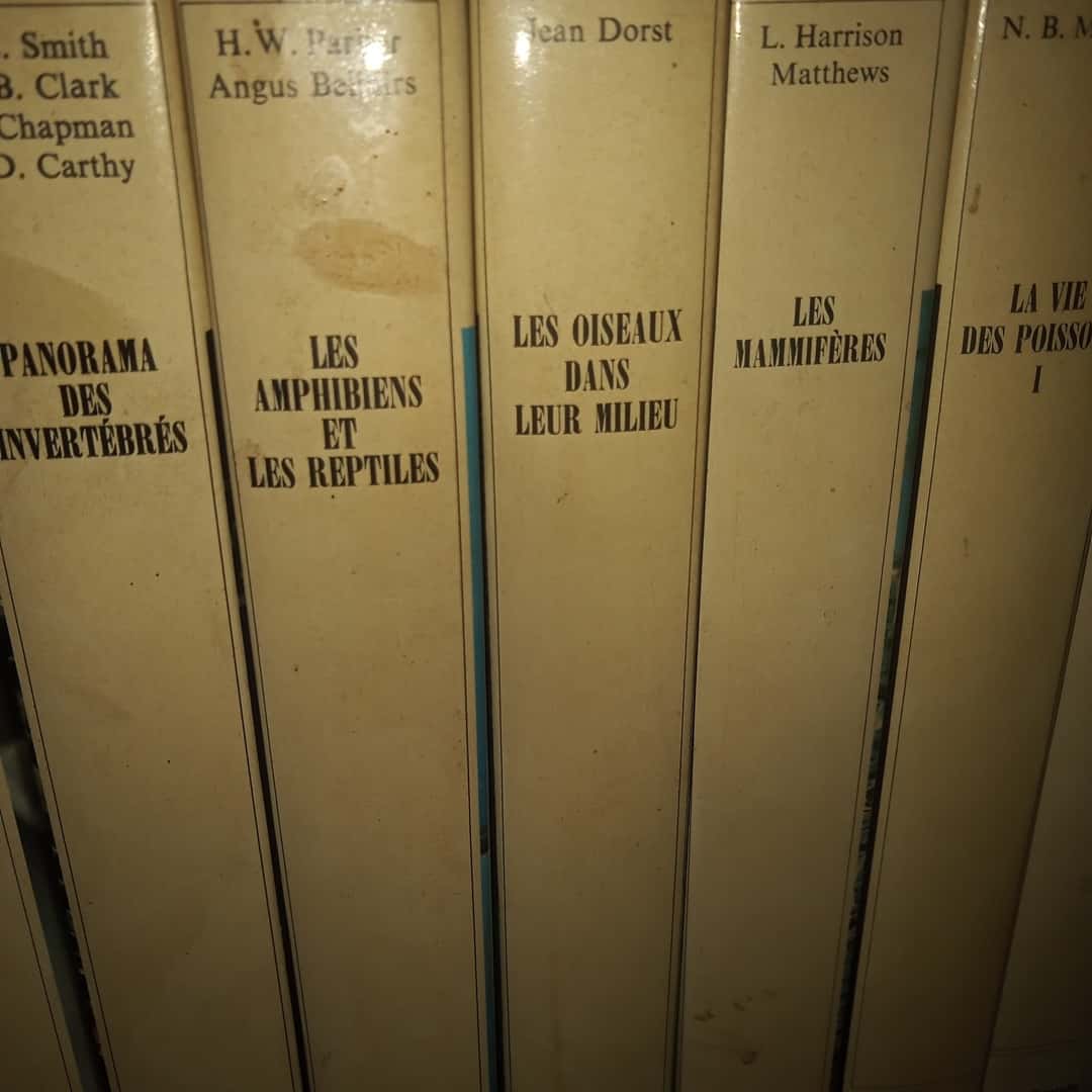 Libros