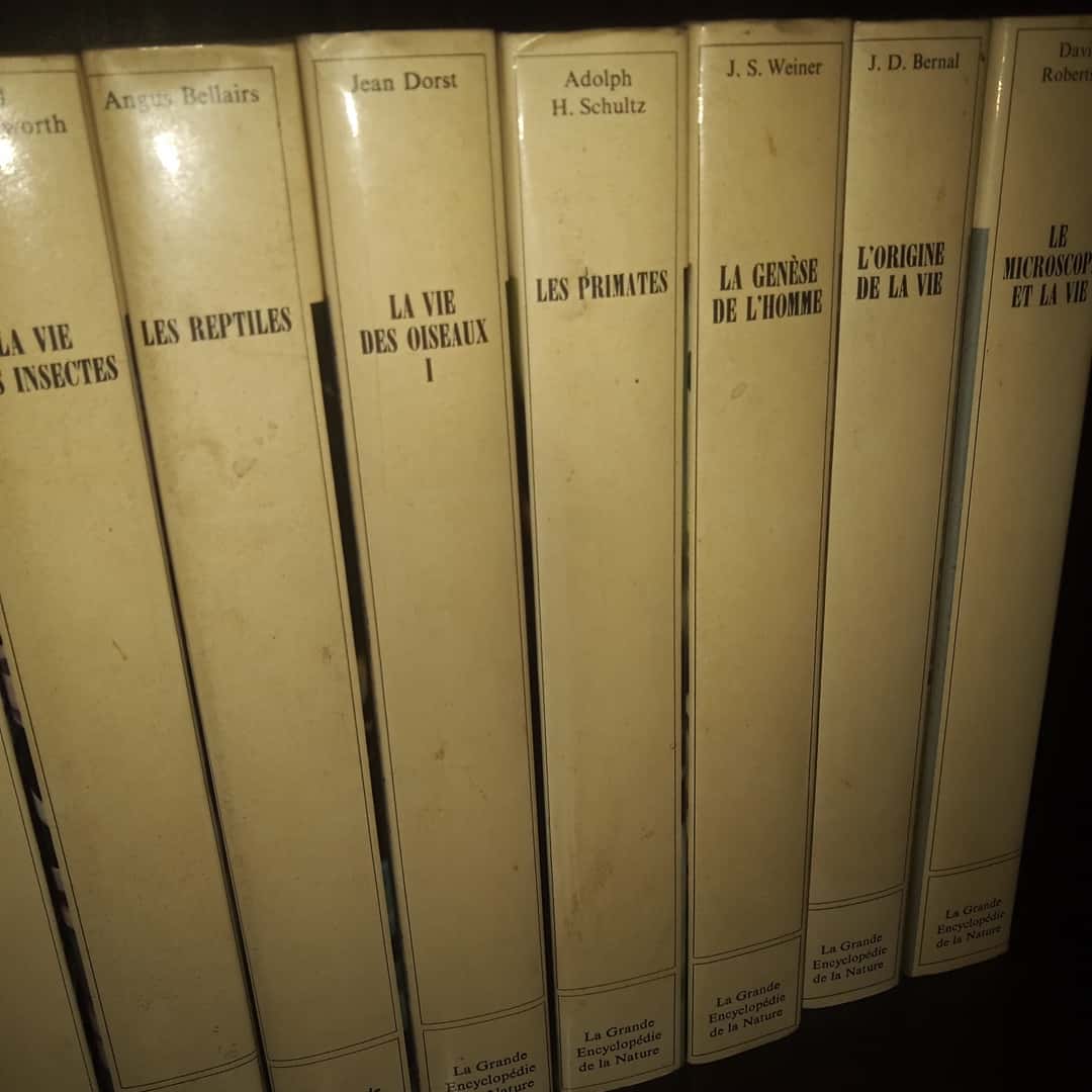 Libros