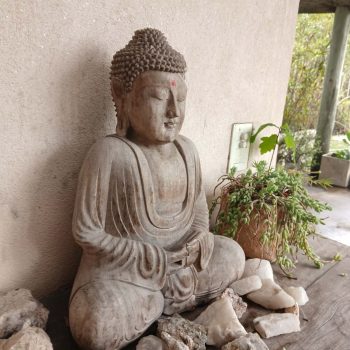 Buda en madera + Ganesha