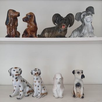 Perros