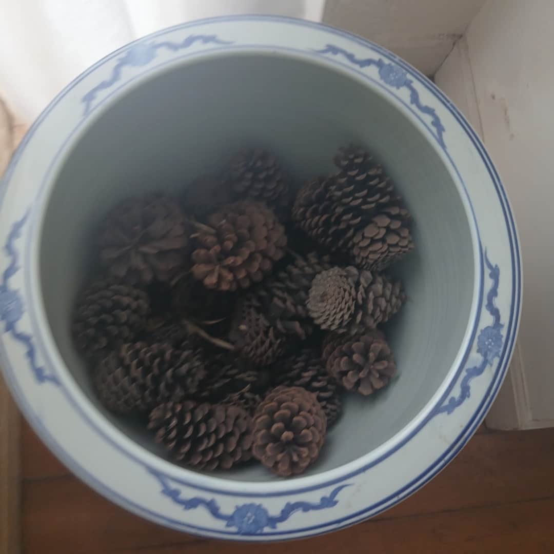 Par de macetas orientales