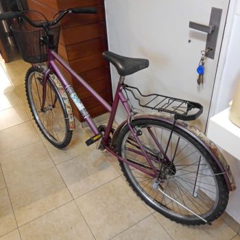 Bicicleta dama