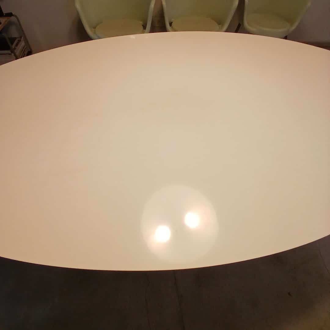 Mesa Tulip