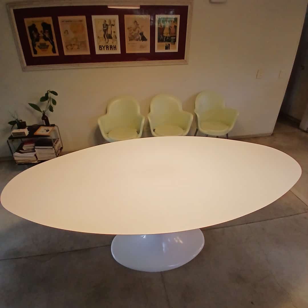 Mesa Tulip