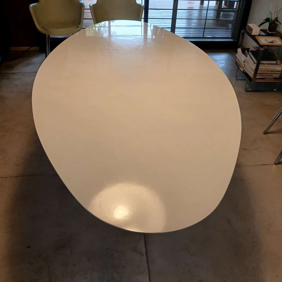 Mesa Tulip